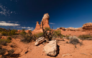 USA, Utah, Arches National Park, Devils Garden, rock formations, USA, Utah, Arches National Park, Devils Garden, rock formations,